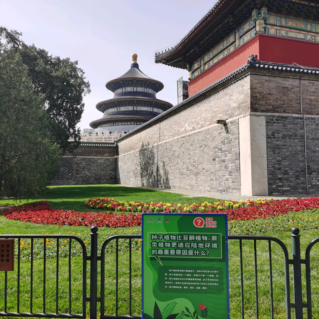 京城帮大叔