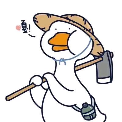 杭州星连星电脑