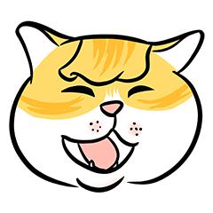 广东猫GD Cat