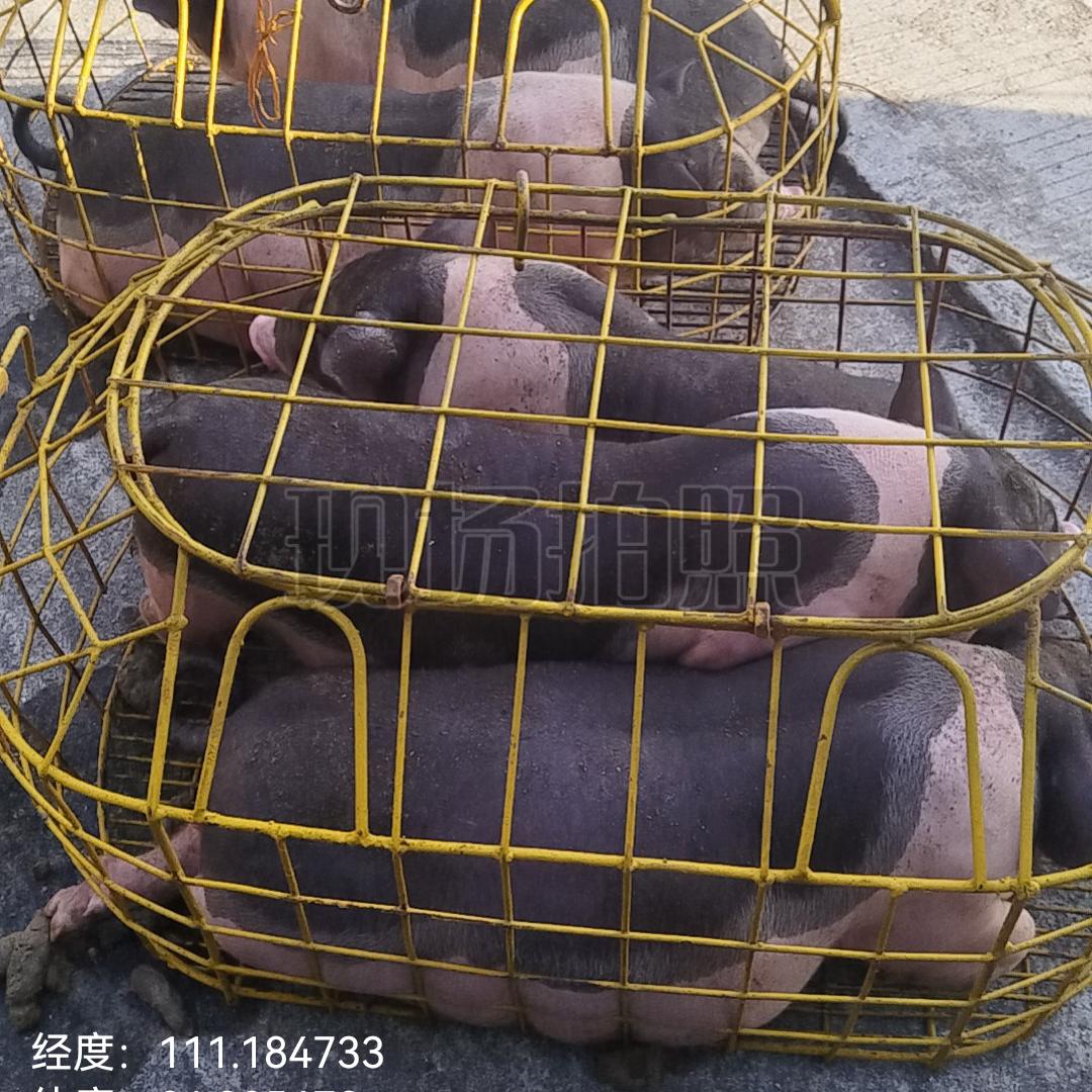 徐w