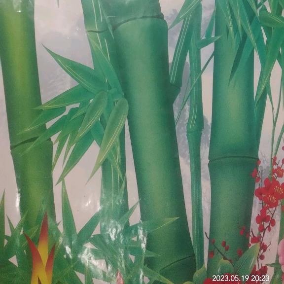 一片竹林