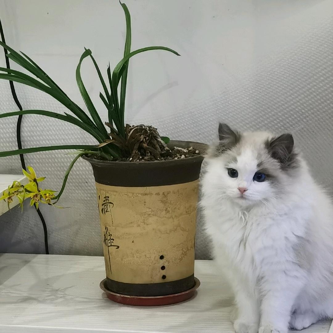 阿强哥电子商务