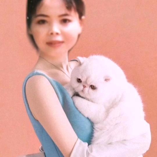 猫猫引导上厕所，雪莲传媒