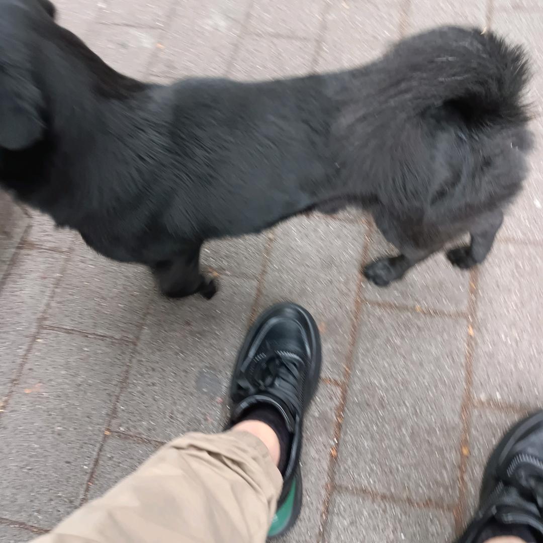 心乐