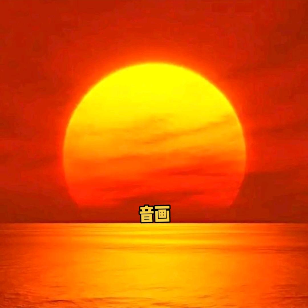 秀秀龙✨