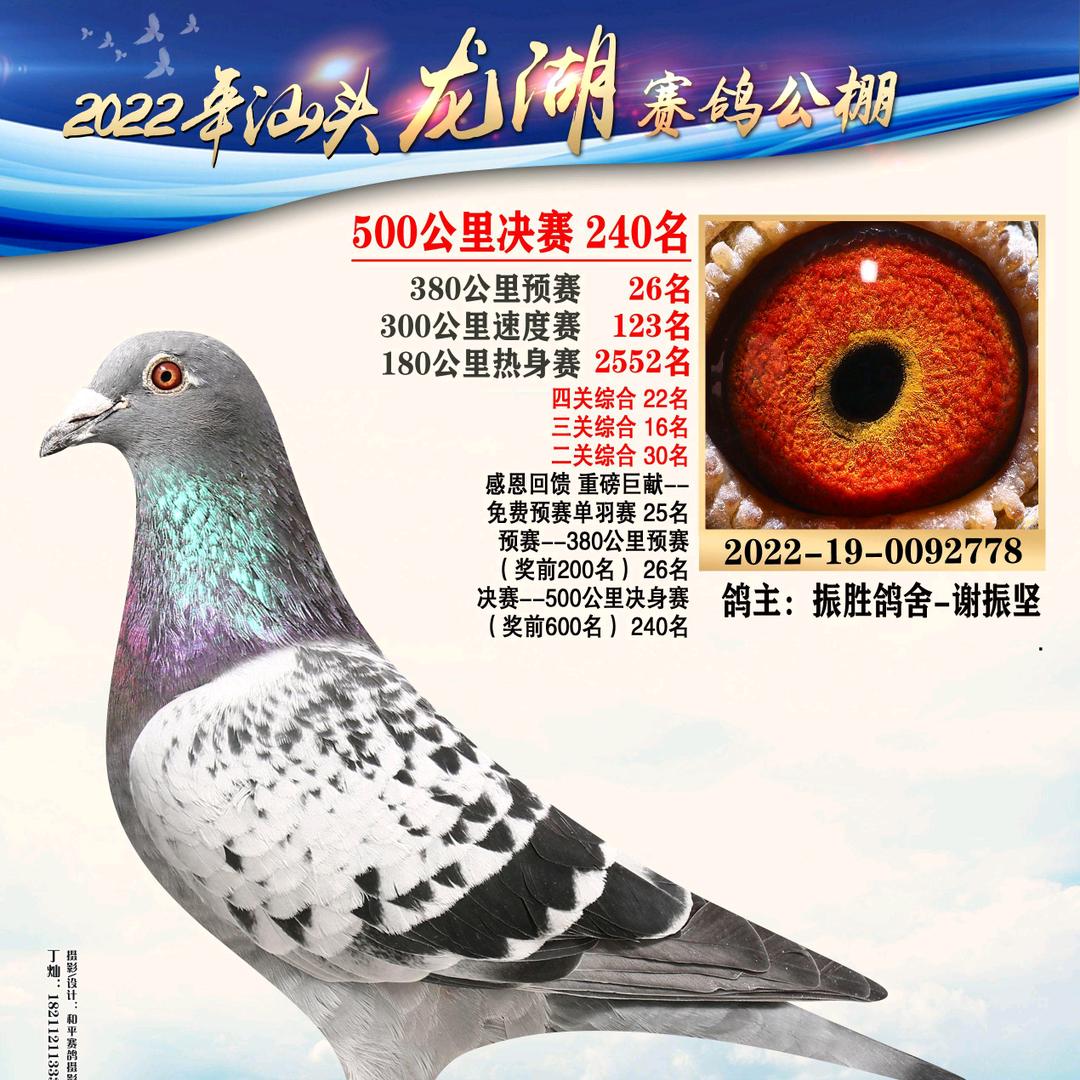 振胜鸽舍-谢振坚