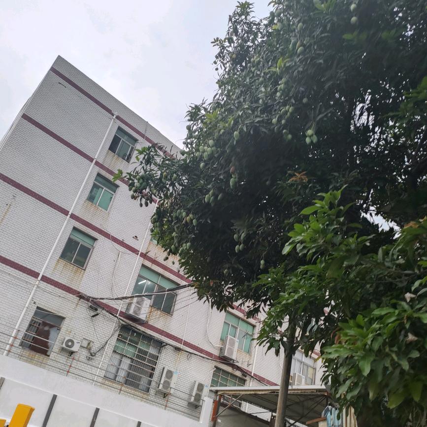 奋达拼搏