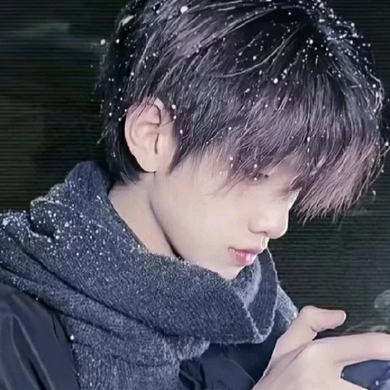 小刘同学（专业手机维修）