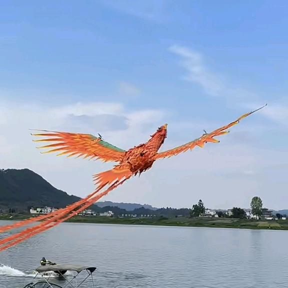 迷鹿森林