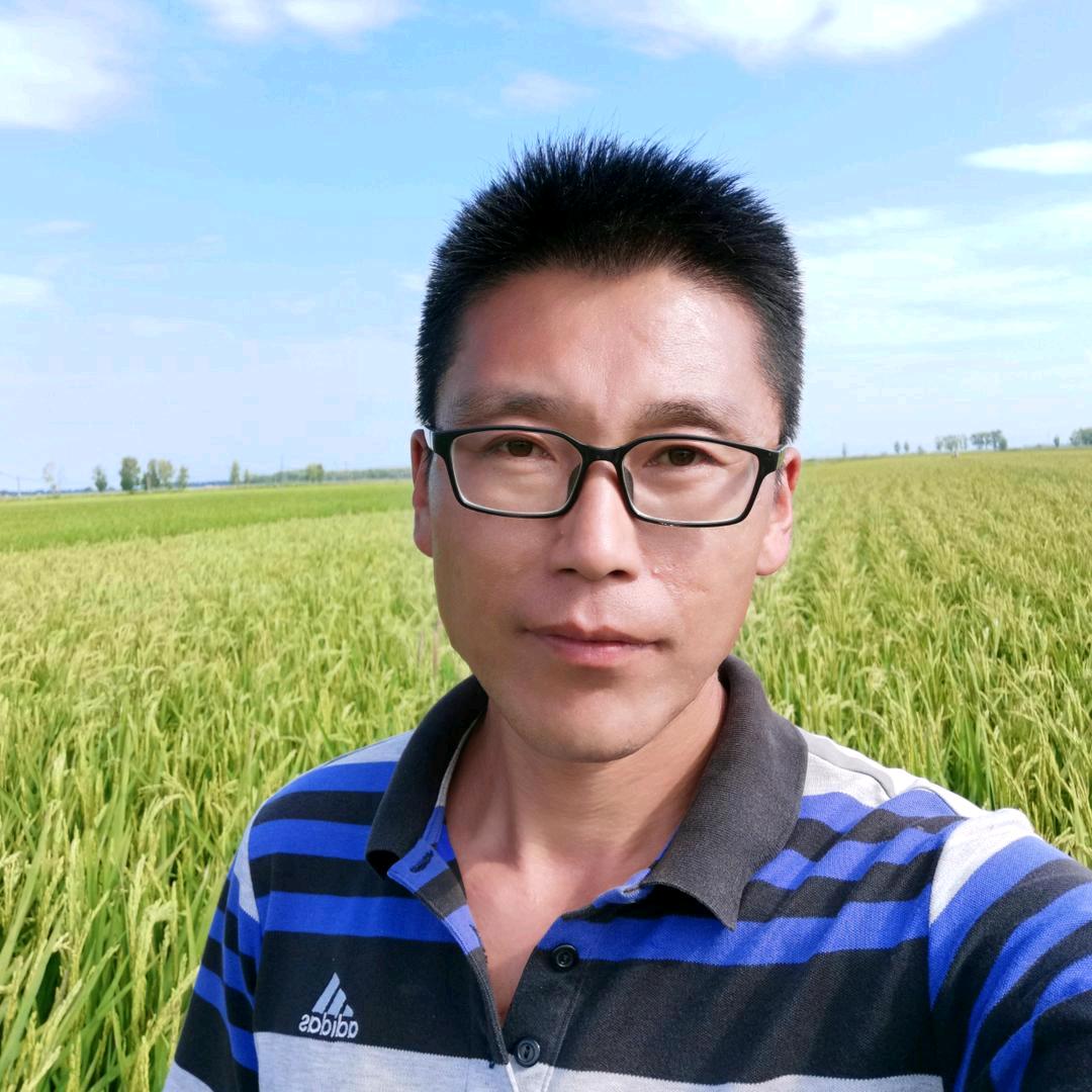 东北小伟