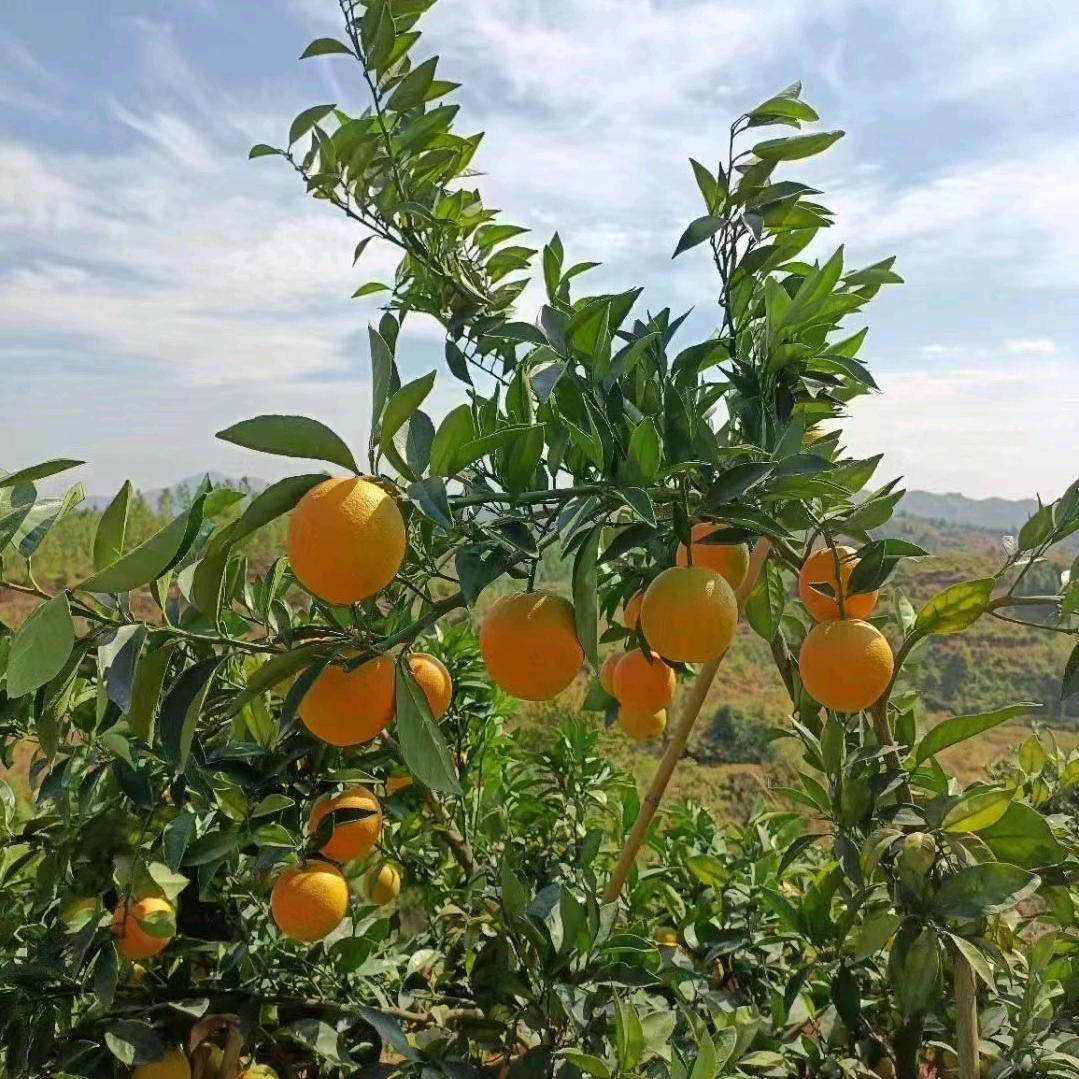 这世界上唯一的你