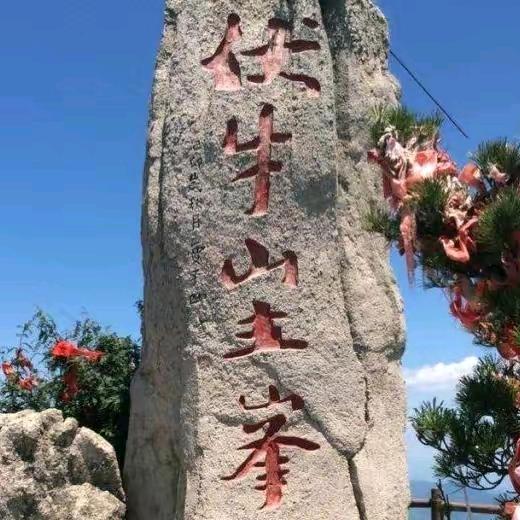 小丁铛