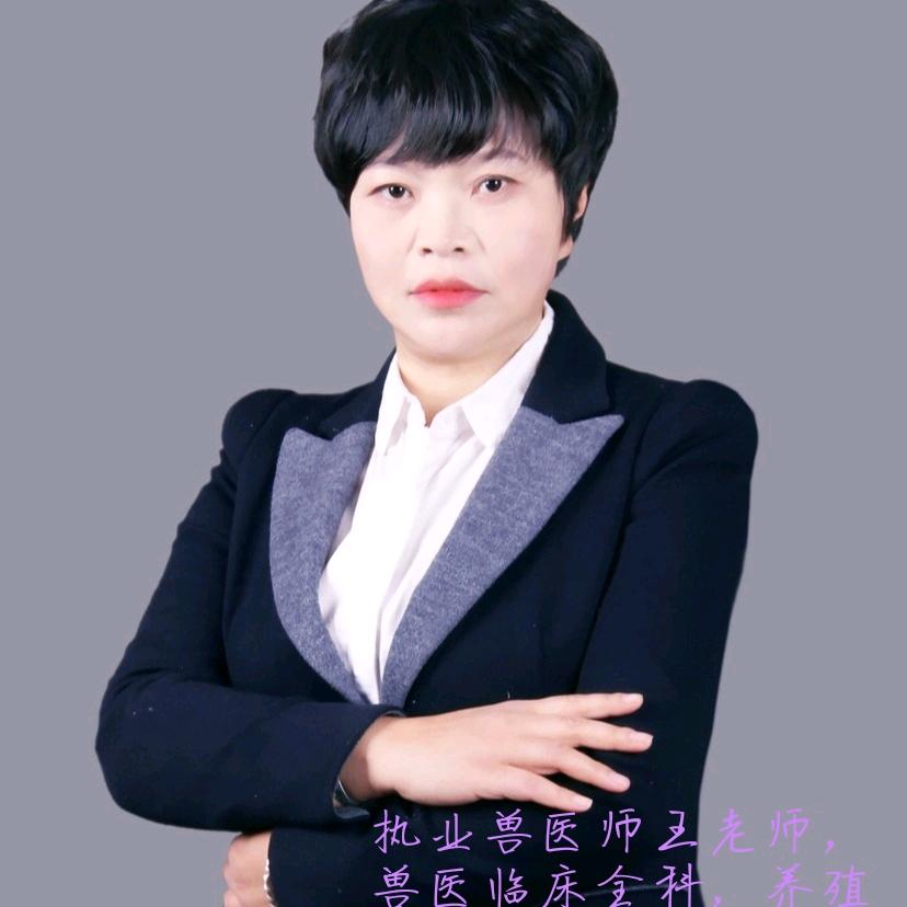 兽医师王老师