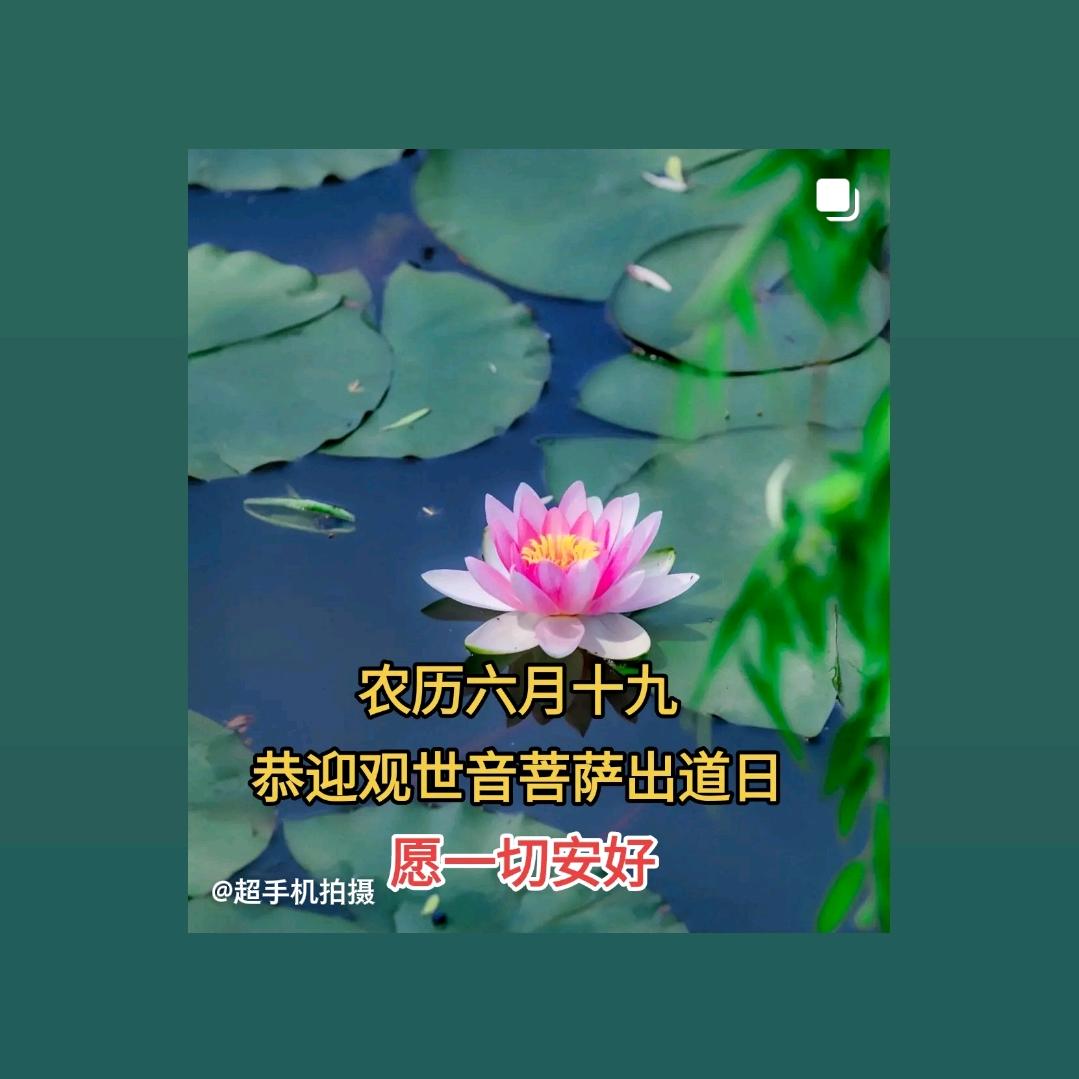 ƪ(˘⌣˘)ʃ优雅