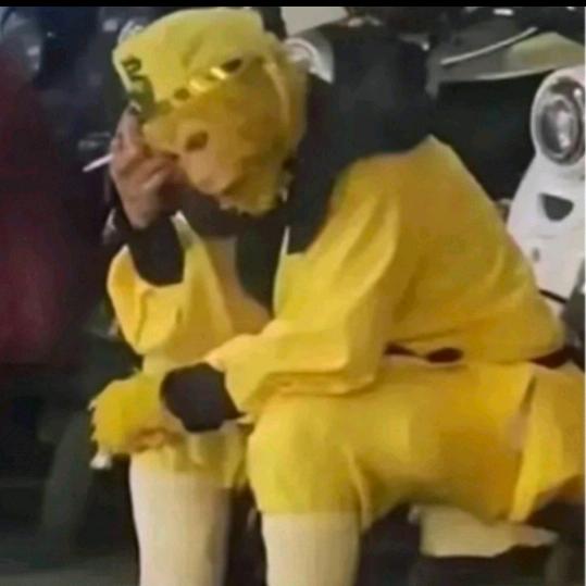 赵文韬