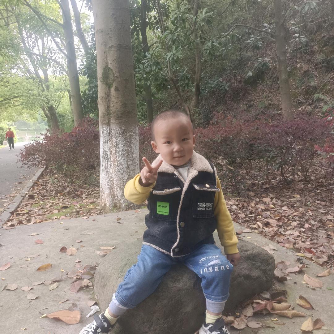 开心果