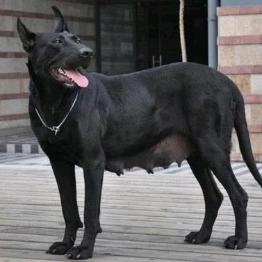 🥇金牌管家🥇