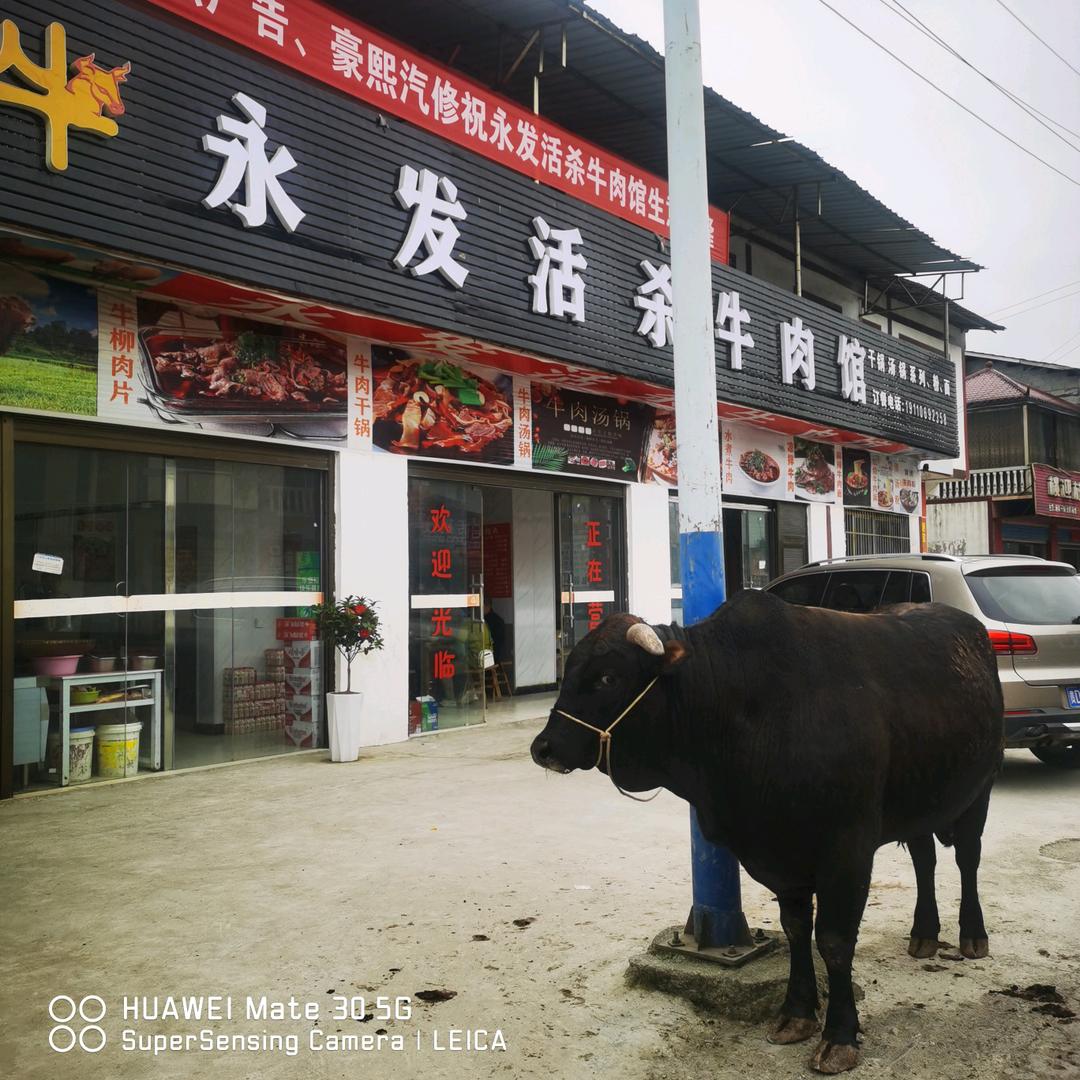 德江南站永发牛肉馆
