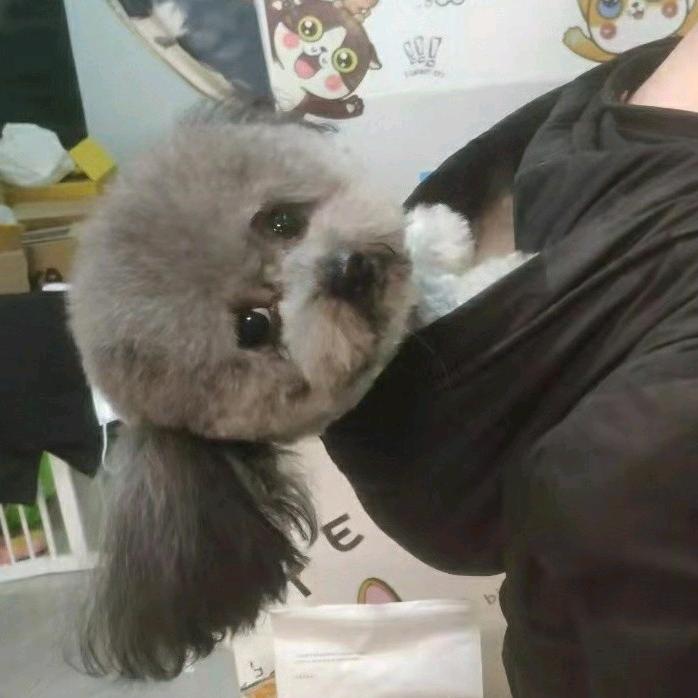 ckfly明
