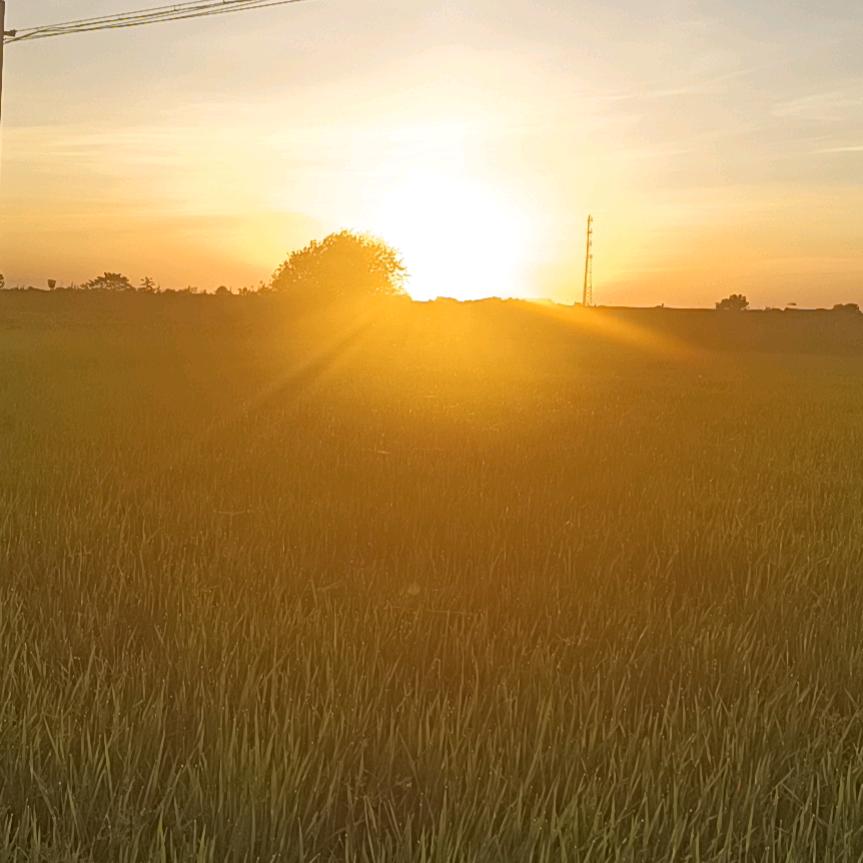健康馆（生活小常识）