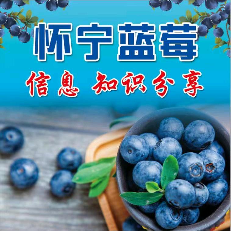 怀宁中耀蓝莓农产品（团队招人）