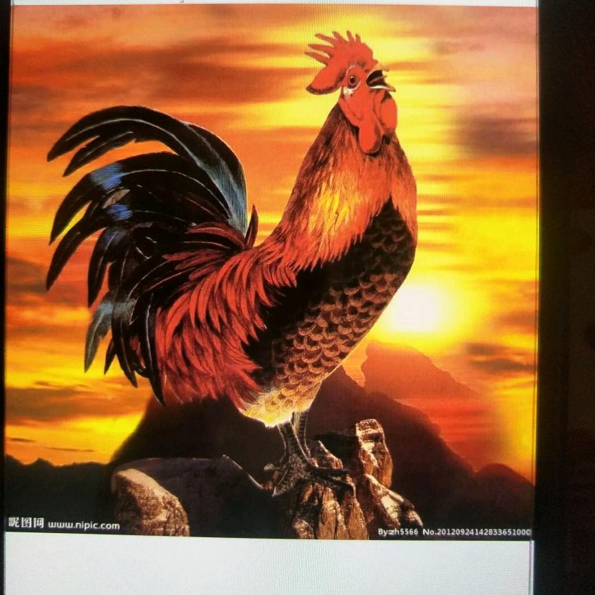 用户💰4935947628274🐷