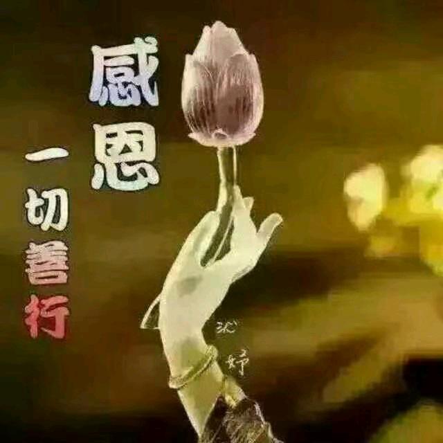 小蚂蚁先生（道德经智慧）