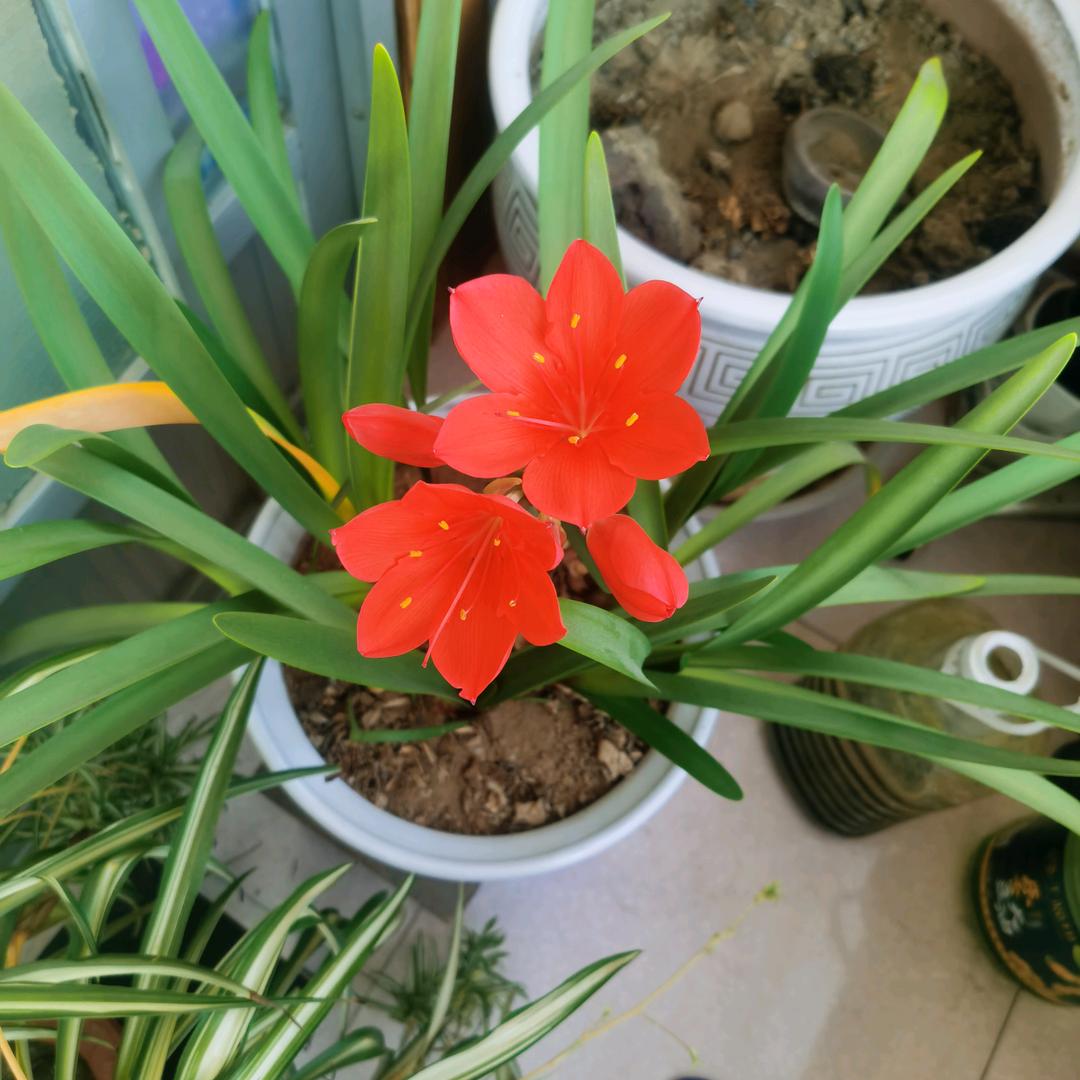 当你已成为我的往事