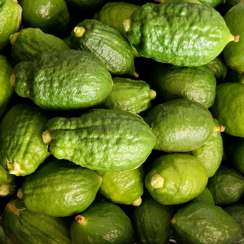 广东香水柠檬小姐姐