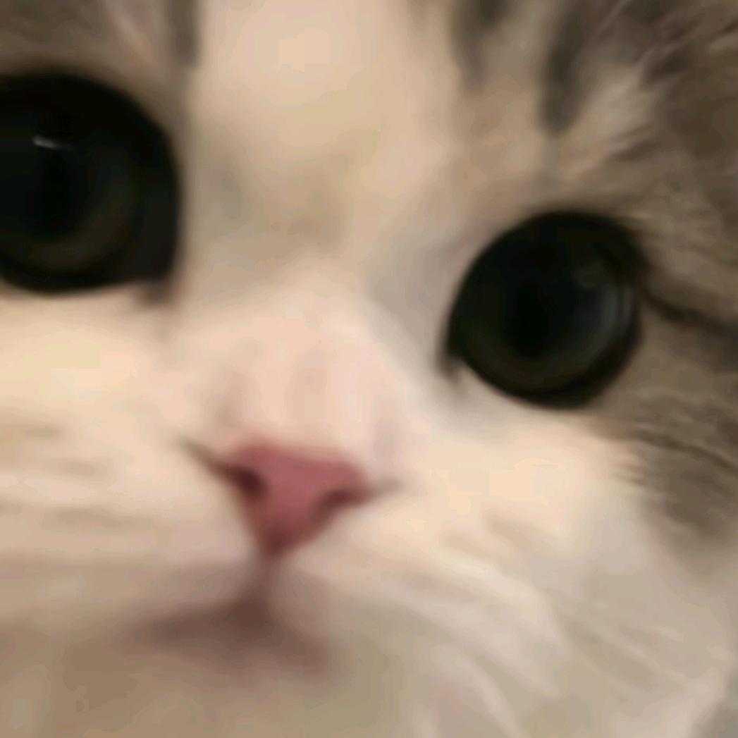 反派小饼干
