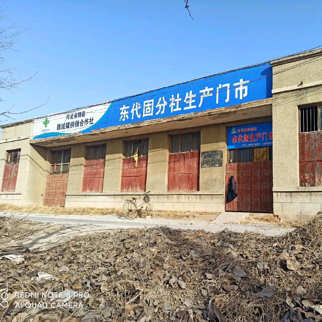 东代固供销社