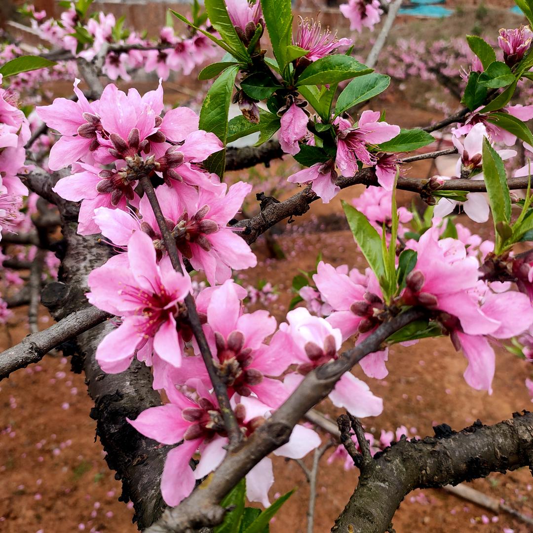 淡忘《拒私聊》