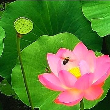 春暖花开。