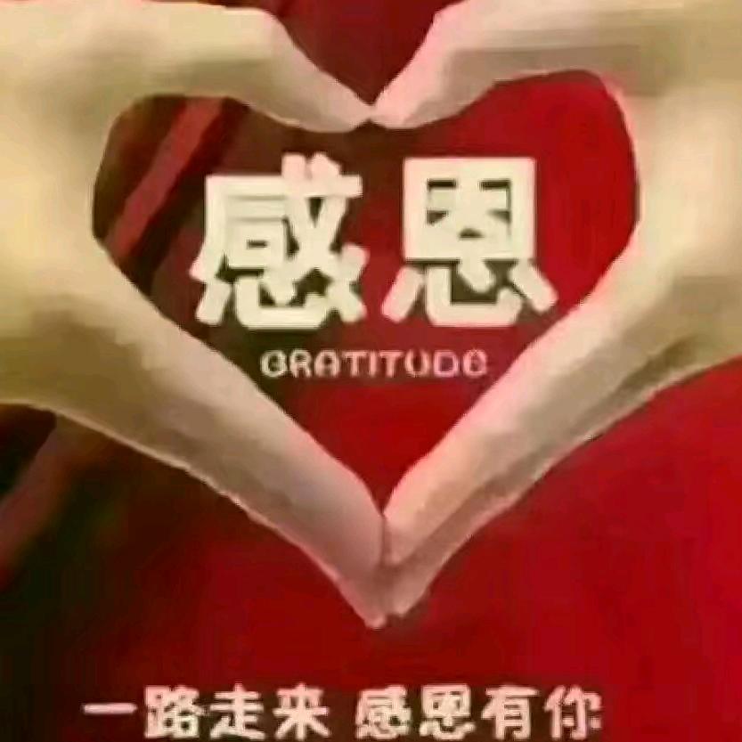 流星雨《拒私聊》
