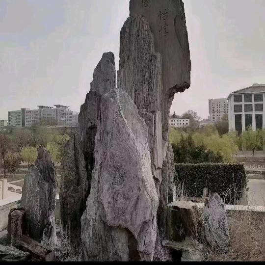 潇洒的男人