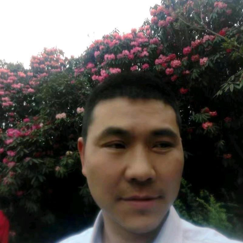 赵海清