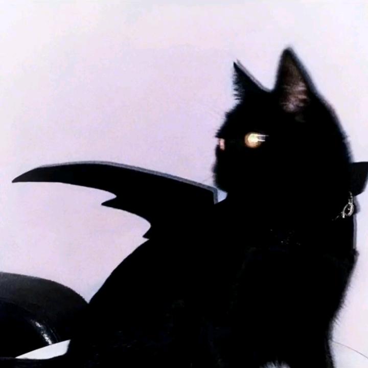 超级无敌炫彩闪耀霹雳暴龙王