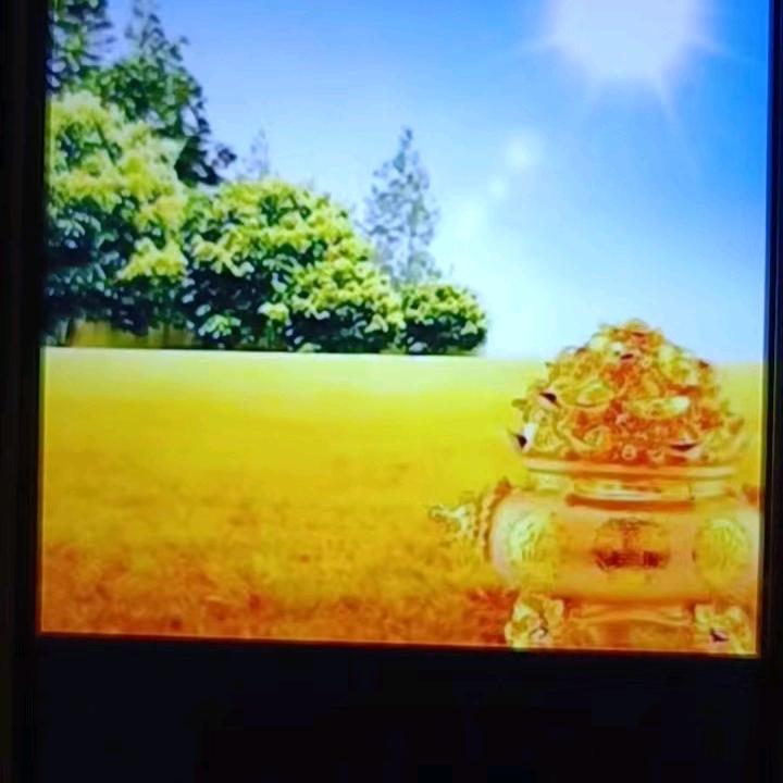 秀芳姐(工艺厂)