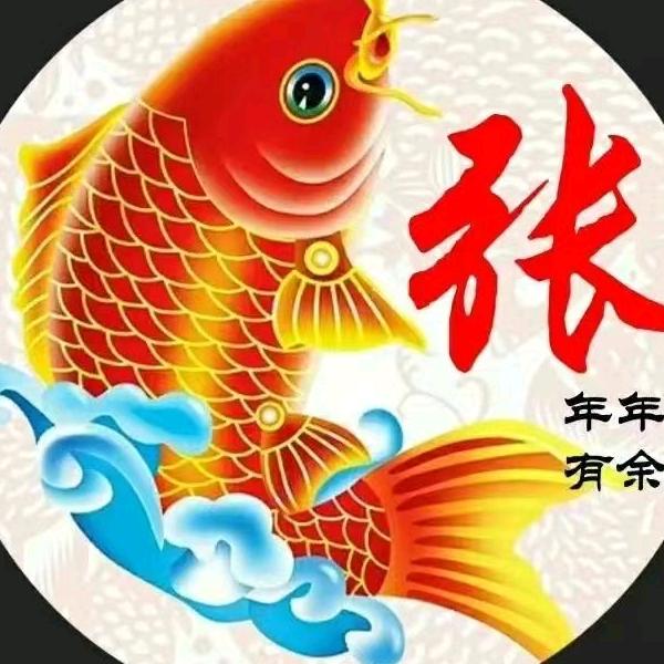 好多鱼🐬