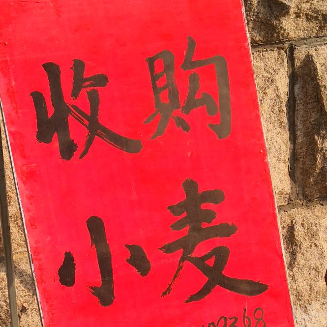 收粮小史