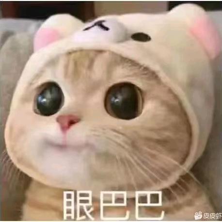 明天过后`🍼
