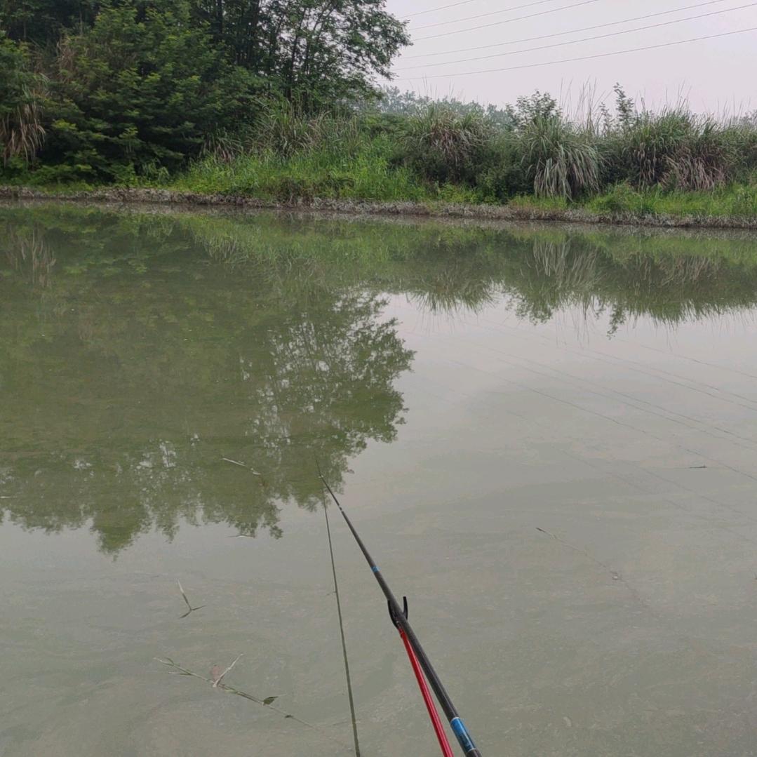 🎣🐟锐行际远