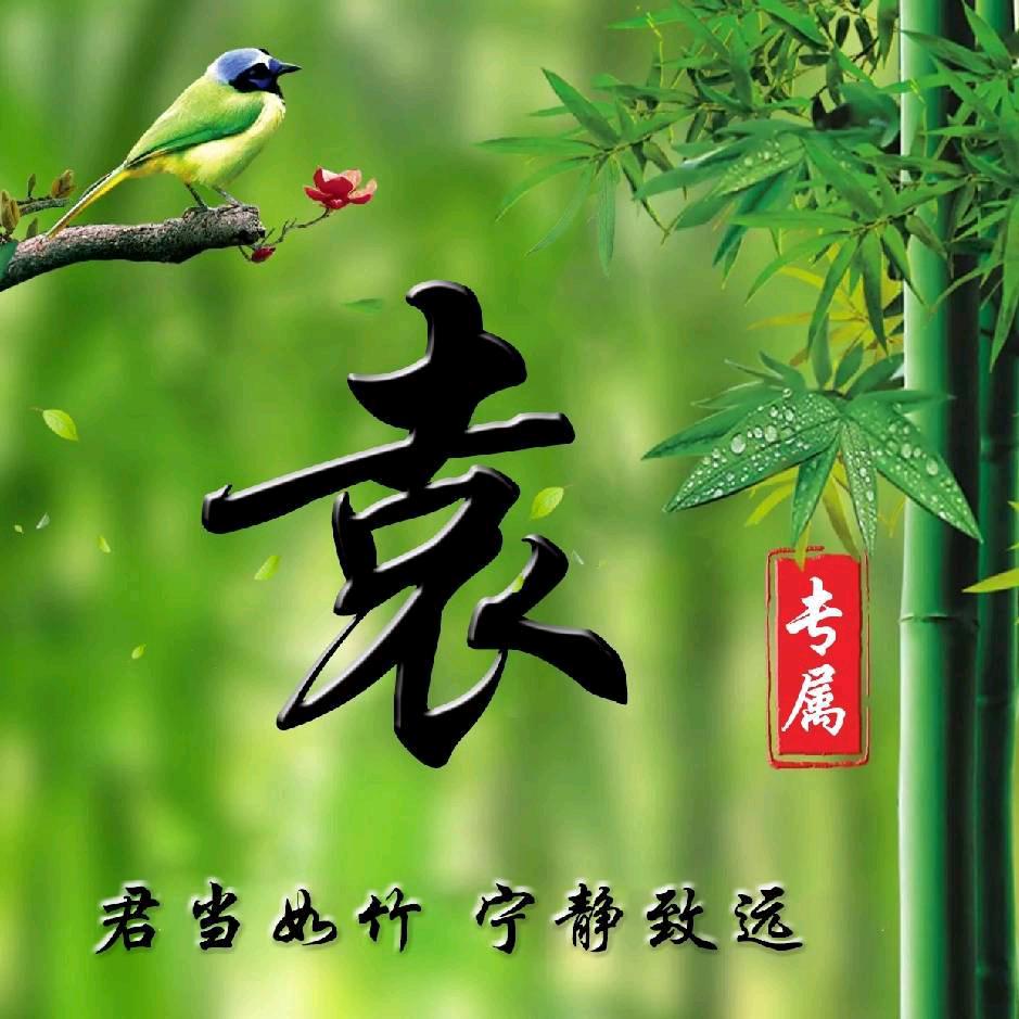 ꧁༺ 豫——襄——袁༻꧂