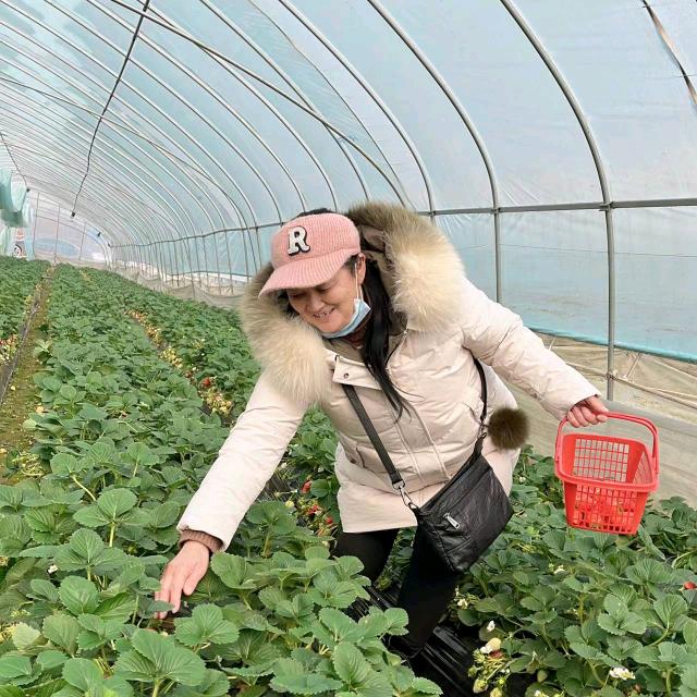 开心奶奶，周姐