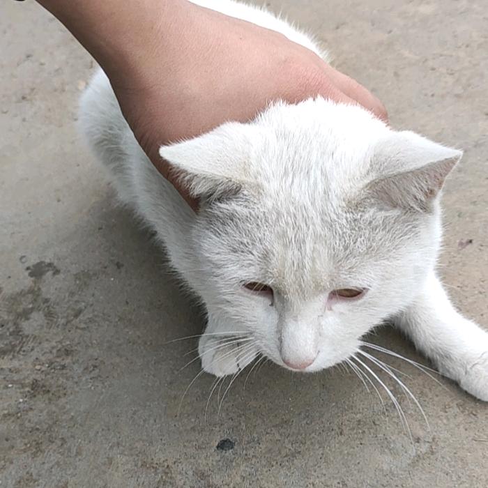 一个很哇塞的男孩