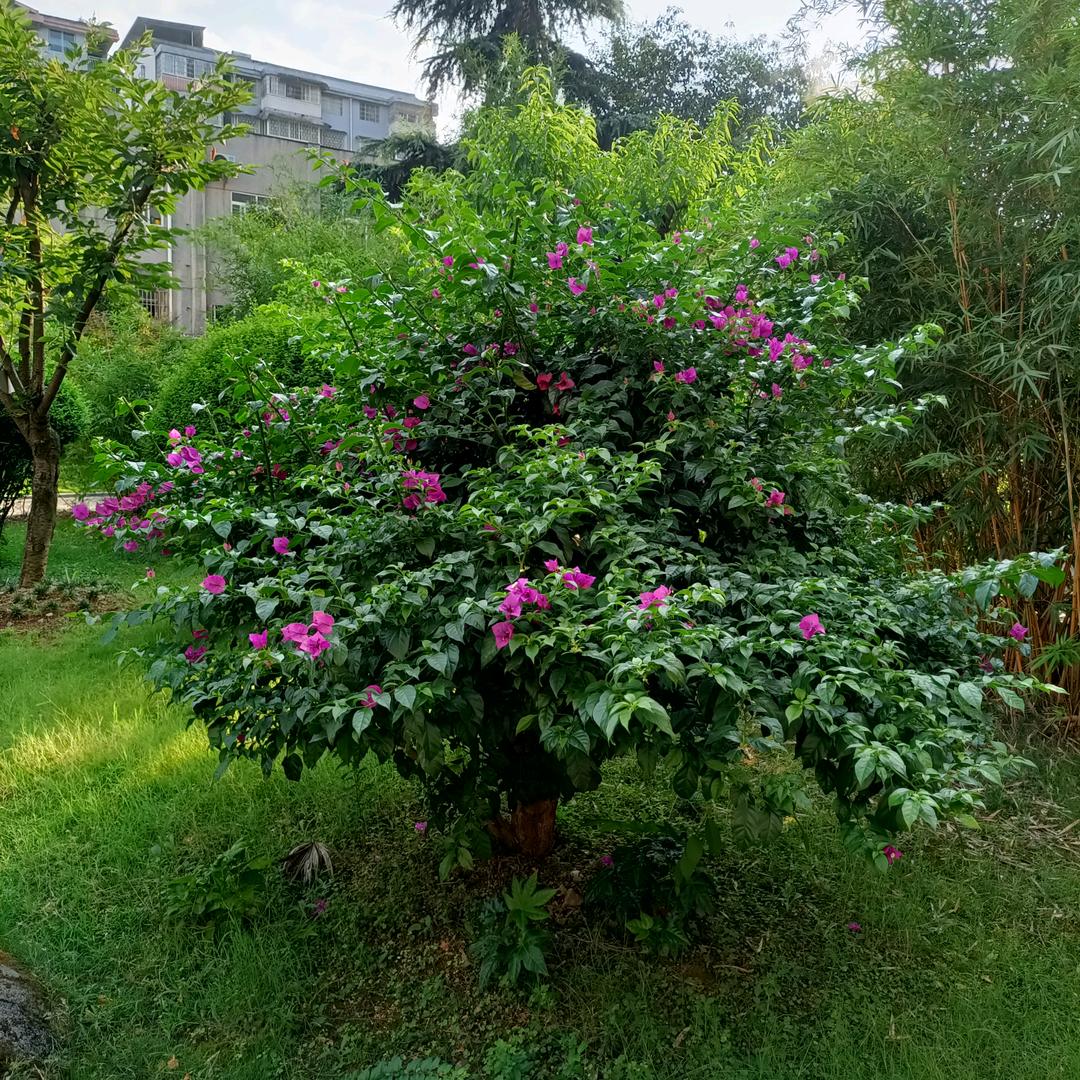 忘记过去，展望未来