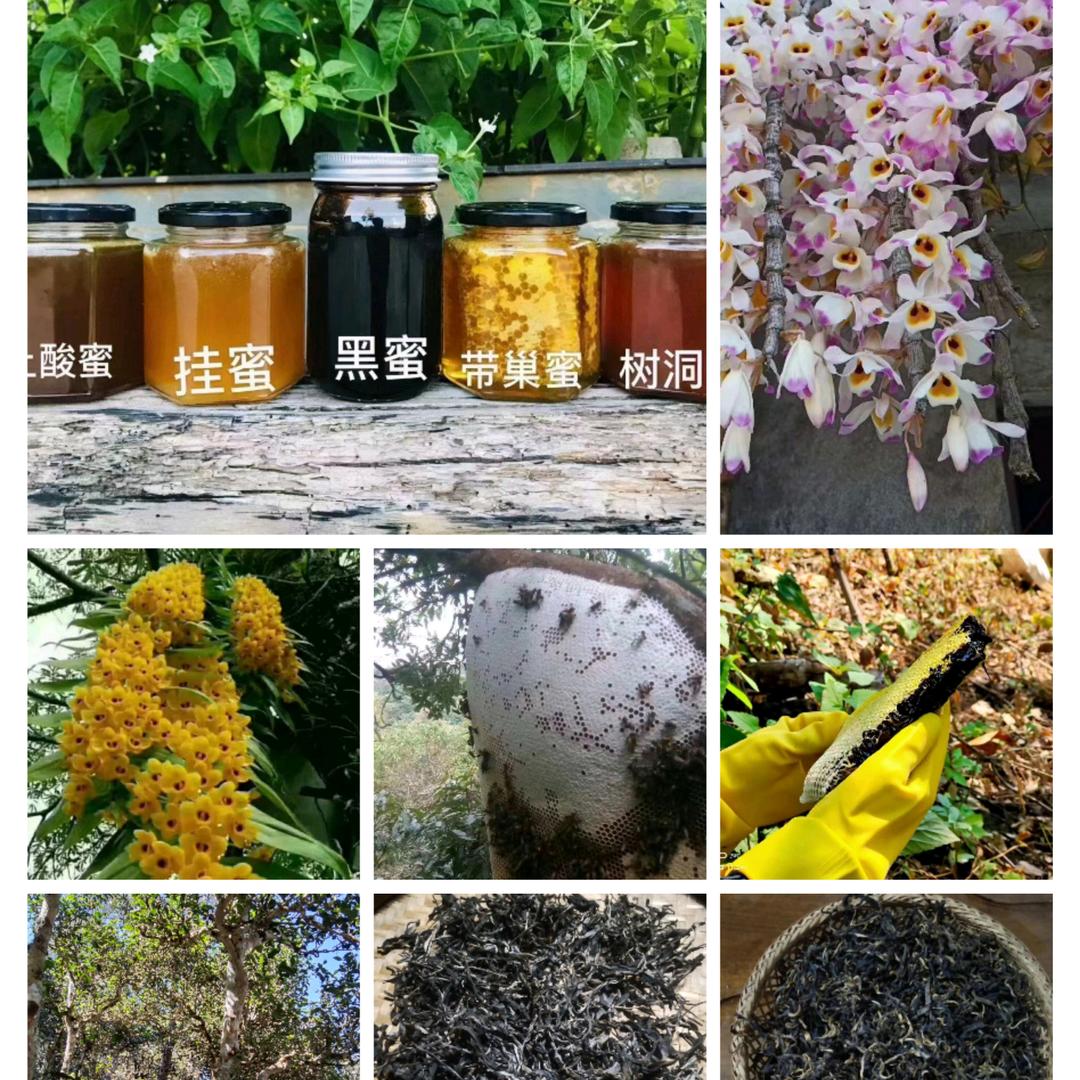 云南深山老林野生蜂蜜~普洱茶~兰