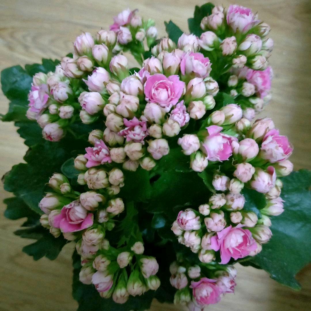 ℳঞ最凉不过人心꧔ꦿ