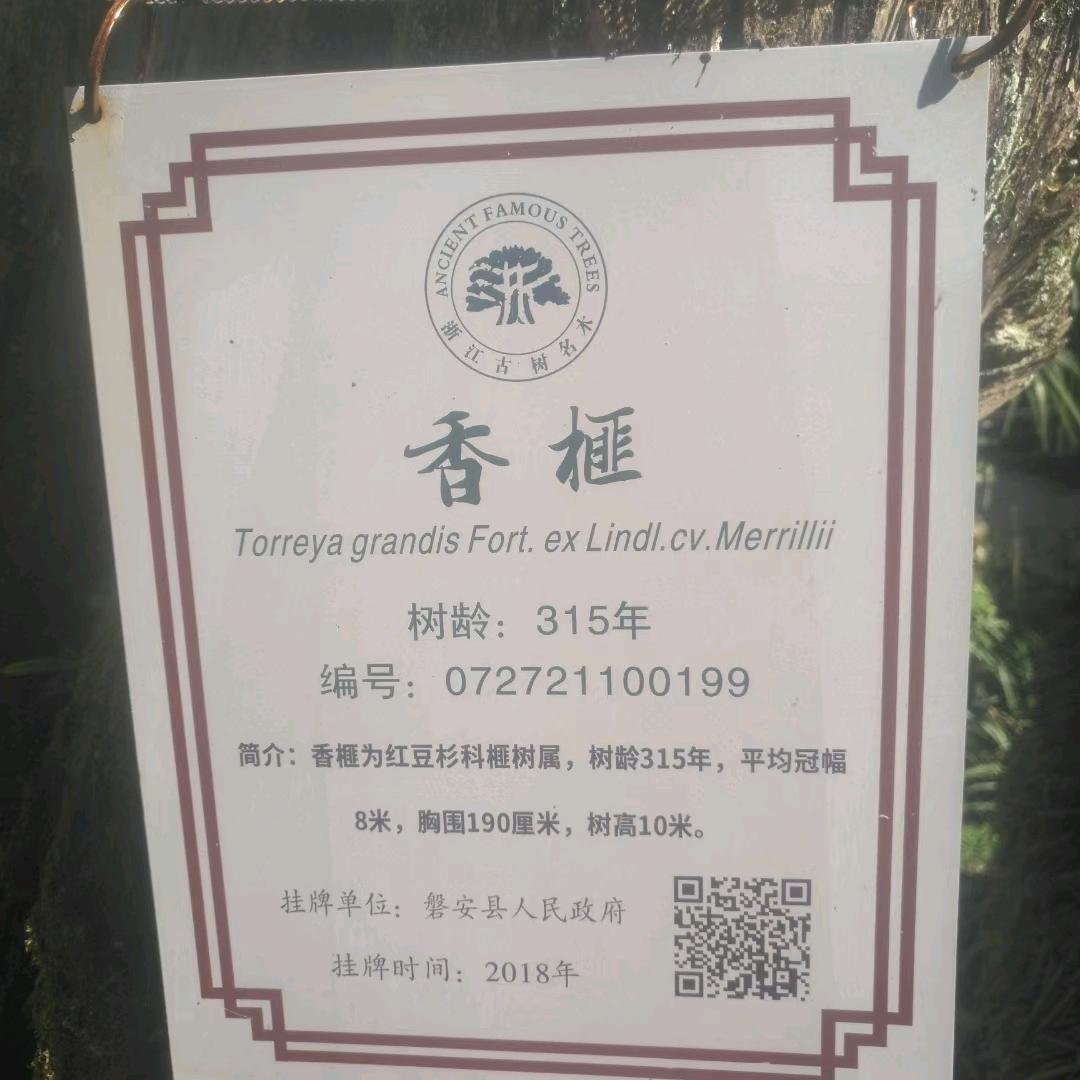 孤独行吟