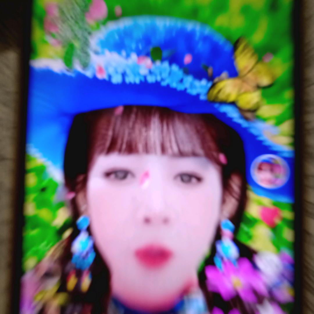 八枝月季